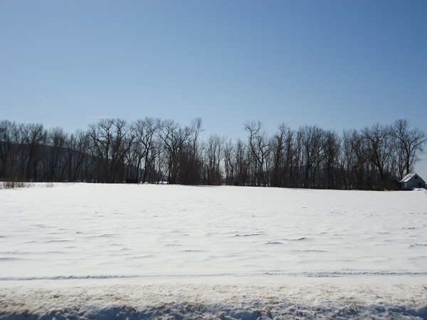 87 Aqua Vitae Road Hadley, MA 01035 - Photo 12 of 13 Gallery Image 12