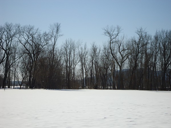 87 Aqua Vitae Road Hadley, MA 01035 - Photo 13 of 13 Gallery Image 13