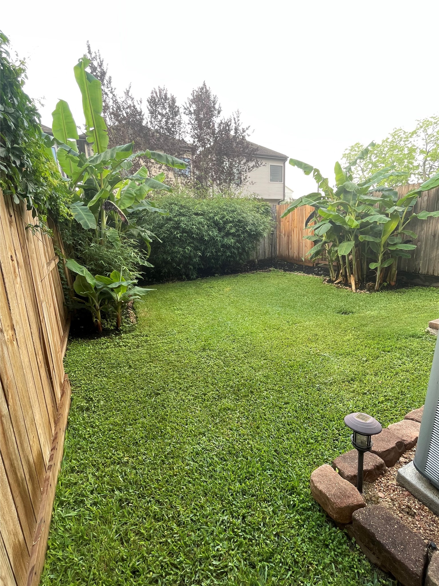 5719 Darling Street Houston, TX 77007 - Photo 3 of 33 Beautiful backyard