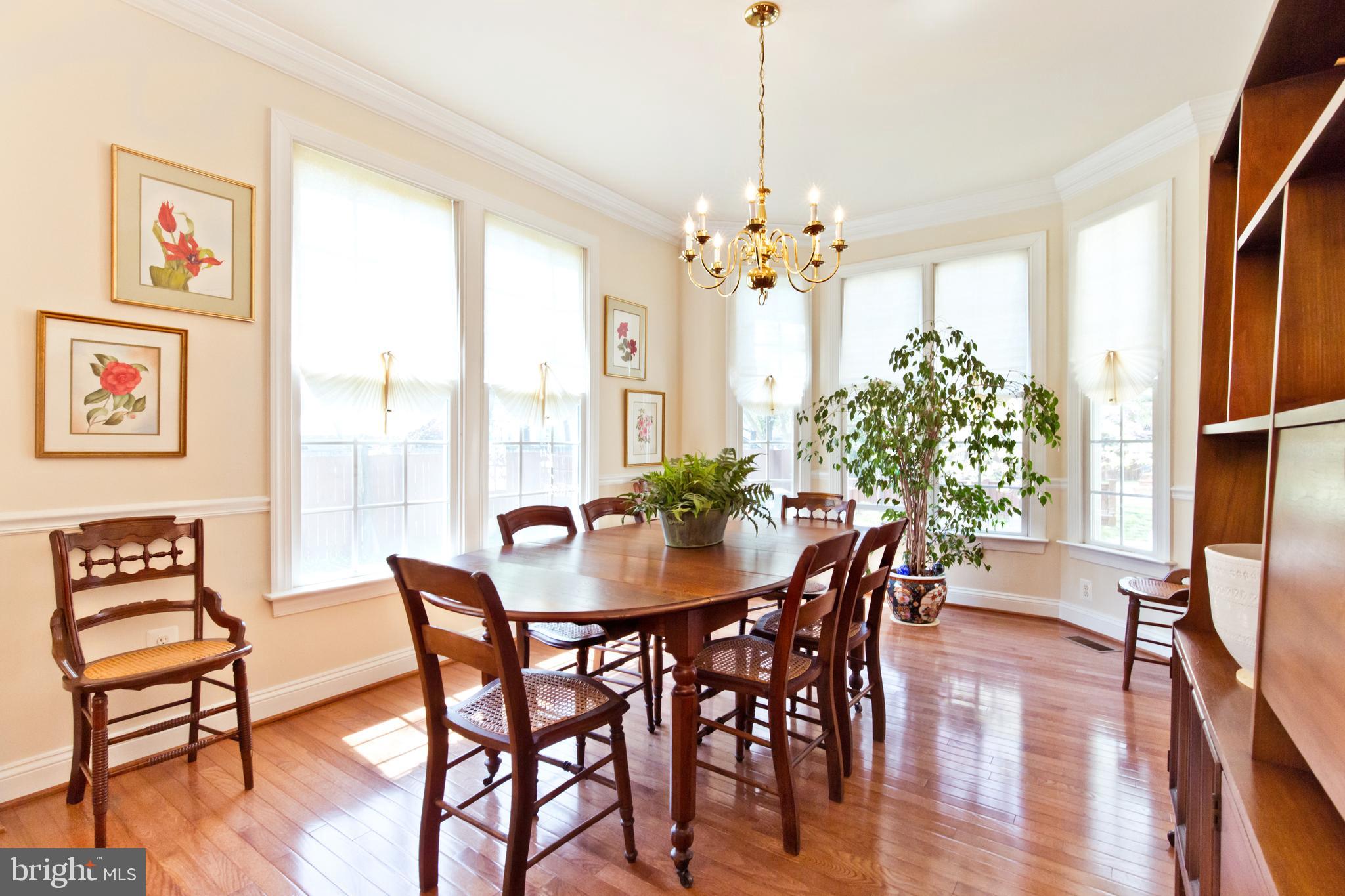 1314 South Glebe Road Arlington, VA 22204 - Photo 13 of 52 Tons of natural light