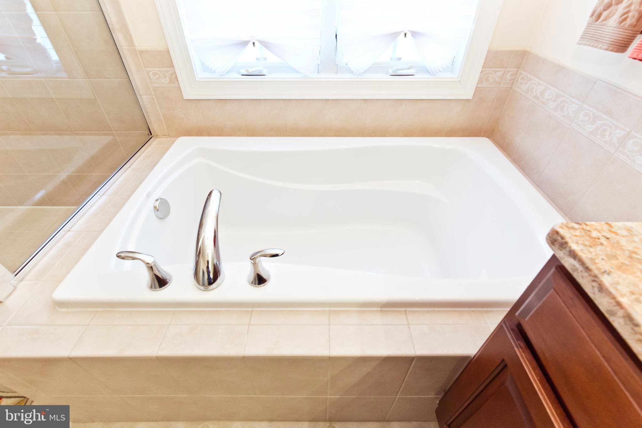 1314 South Glebe Road Arlington, VA 22204 - Photo 28 of 52 Master bedroom tub