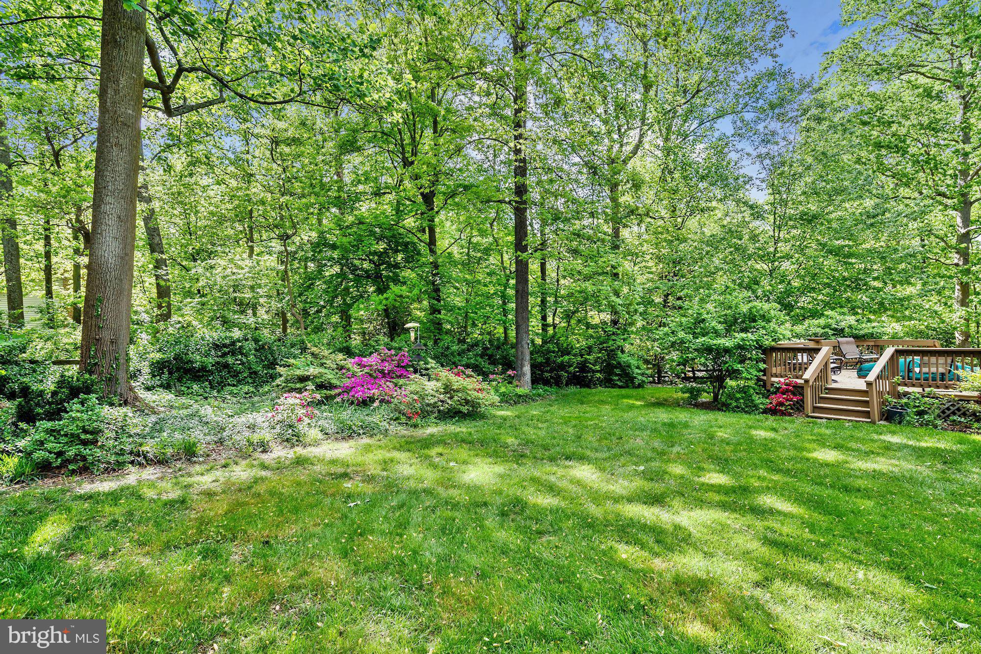 2806 Fennel Road Edgewater, MD 21037 - Photo 30 of 30 Backyard