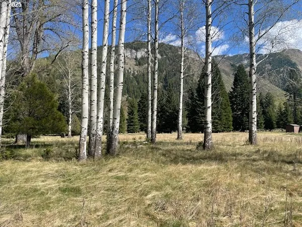 $349,000 | Granger Road, Lostine, OR 97857