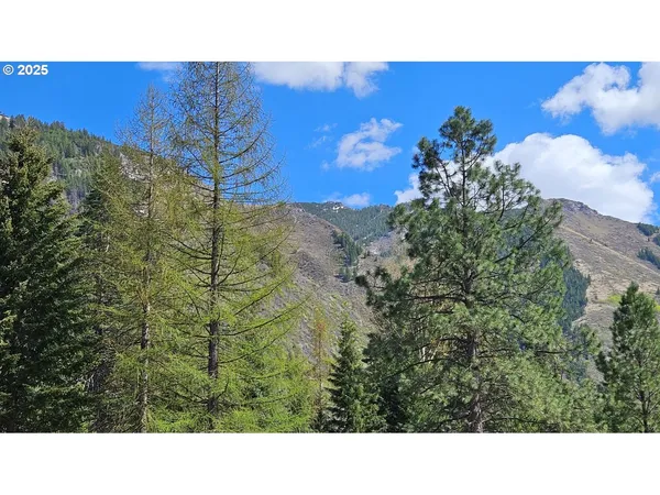 $349,000 | Fir Road, Lostine, OR 97857