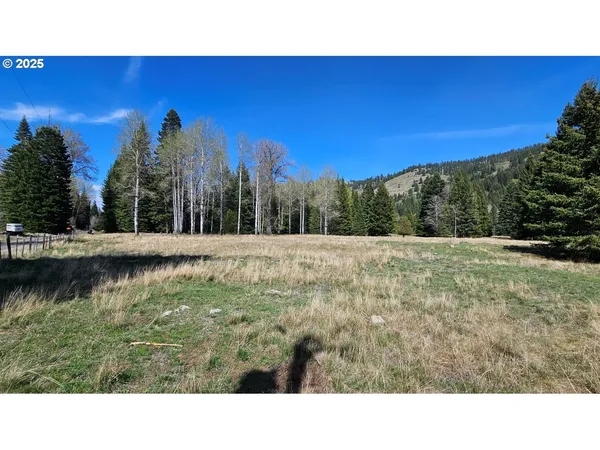 $349,000 | Fir Road, Lostine, OR 97857