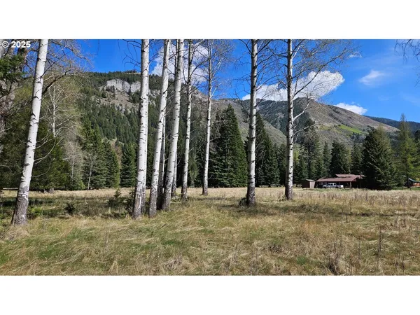 $349,000 | Fir Road, Lostine, OR 97857