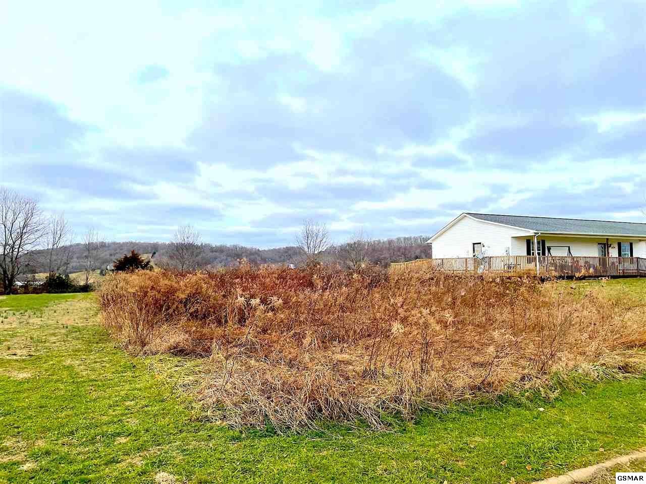 26 Ebenezer Loop Chuckey, TN 37641 - Photo 6 of 8