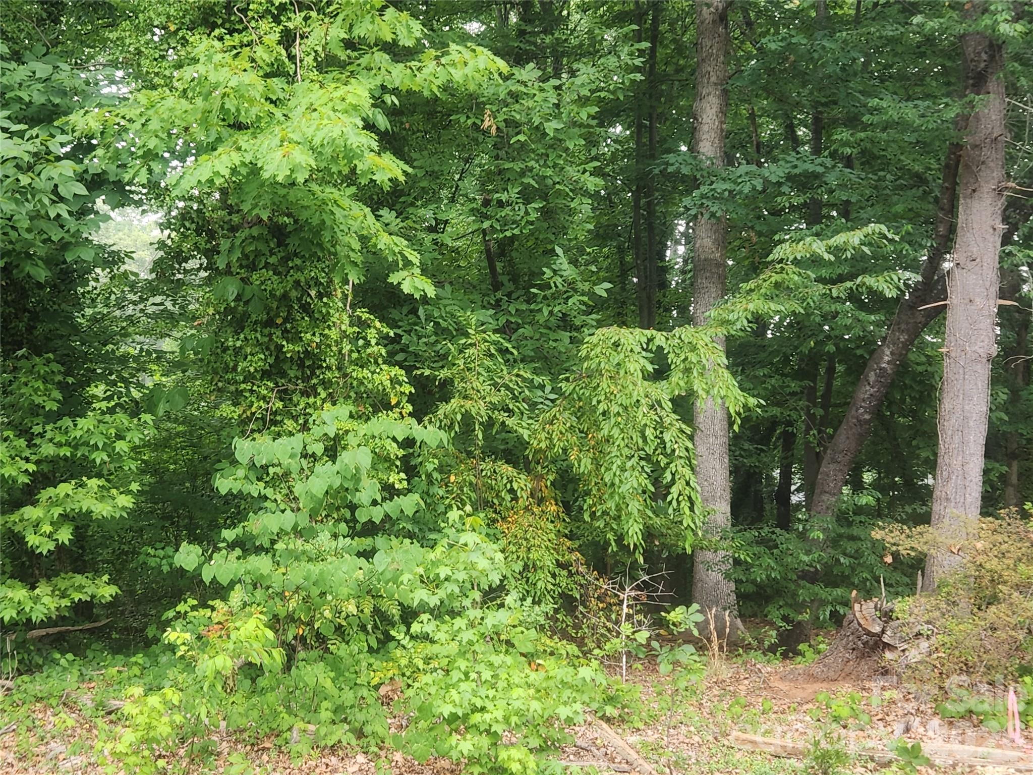205 7th St Place Northeast Conover, NC 28613 - Photo 4 of 5