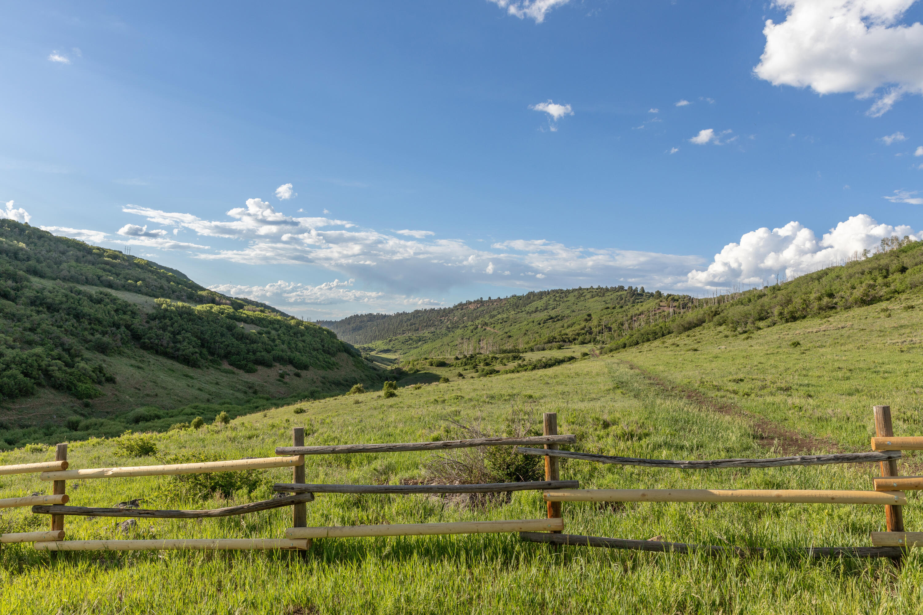 5109 County Rd M44 Placerville, CO 81430 - Photo 25 of 36 Classic Ranch