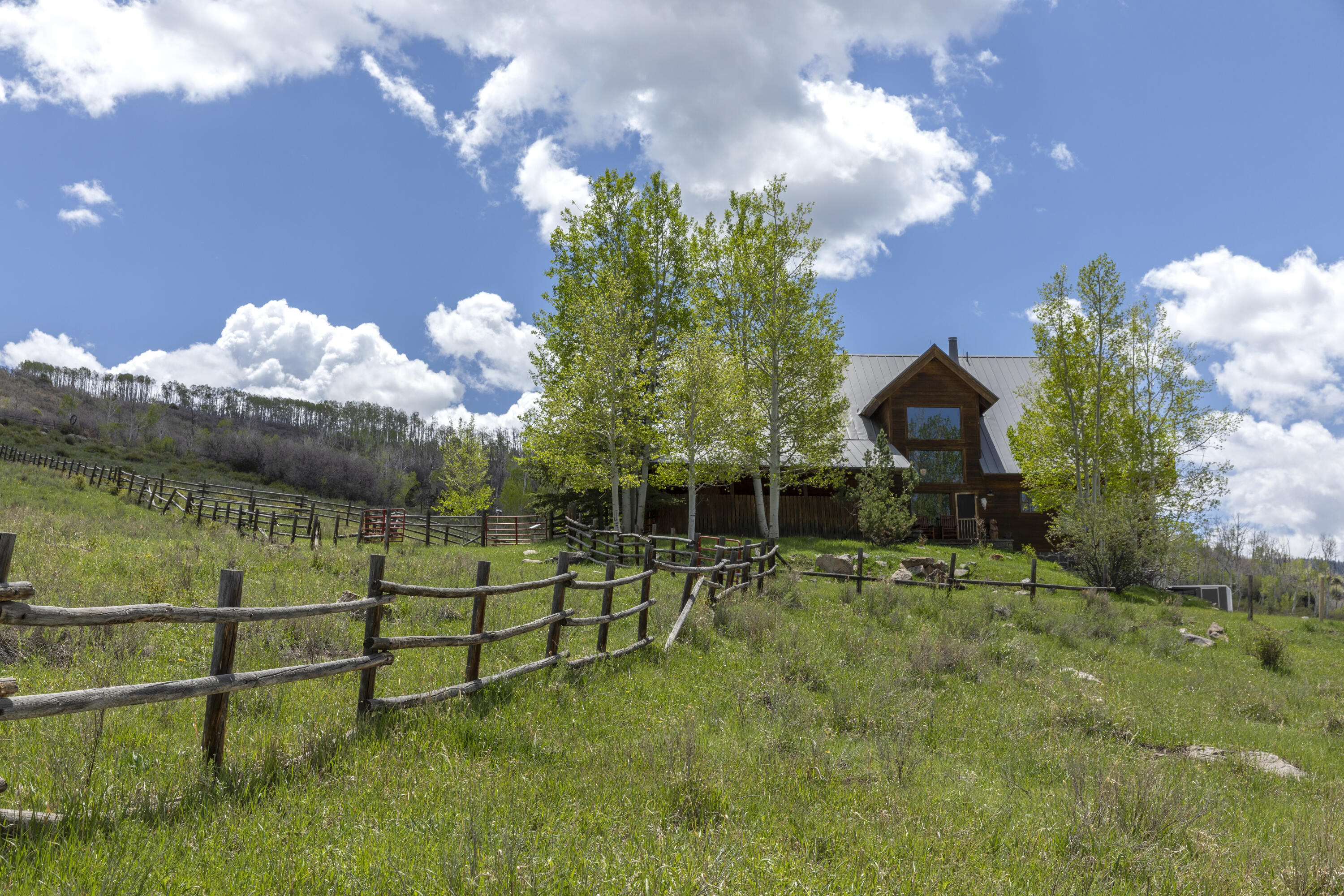 5109 County Rd M44 Placerville, CO 81430 - Photo 33 of 36 Quintessential Ranch Setting