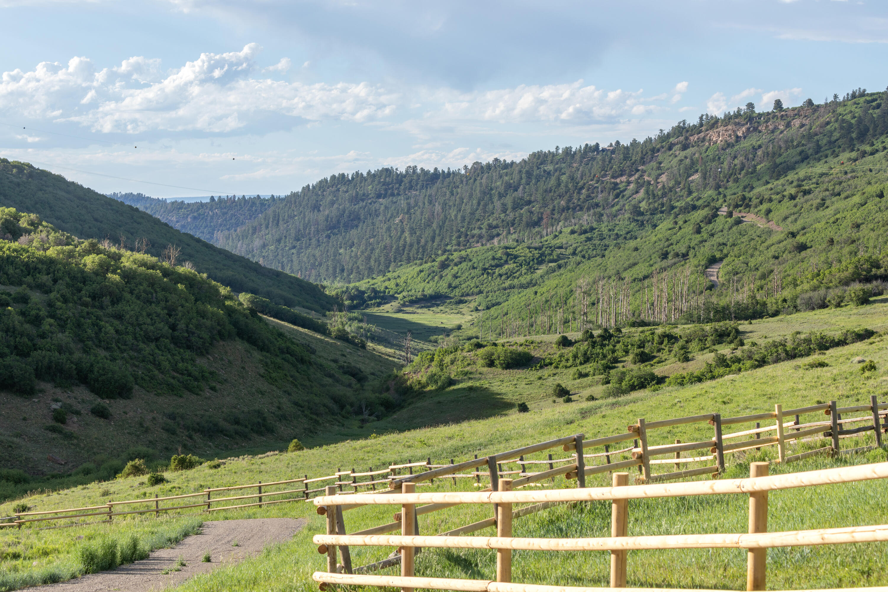 5109 County Rd M44 Placerville, CO 81430 - Photo 4 of 36 Rolling Meadows