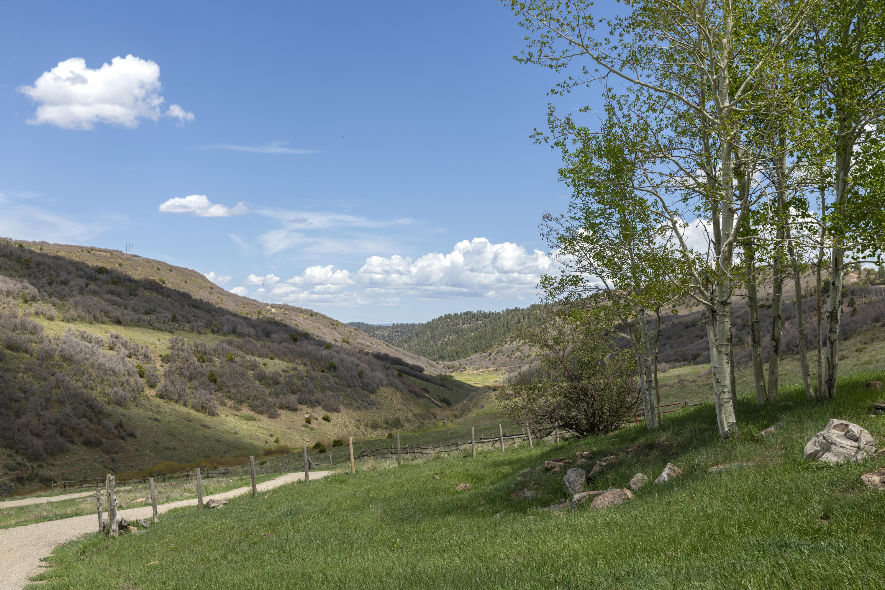 5109 County Rd M44 Placerville, CO 81430 - Photo 5 of 36 Private Drive