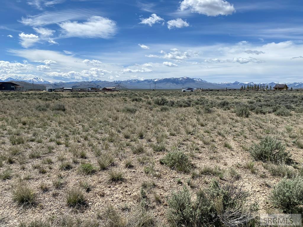 Tbd Mahogany Mackay, ID 83251 - Photo 12 of 14