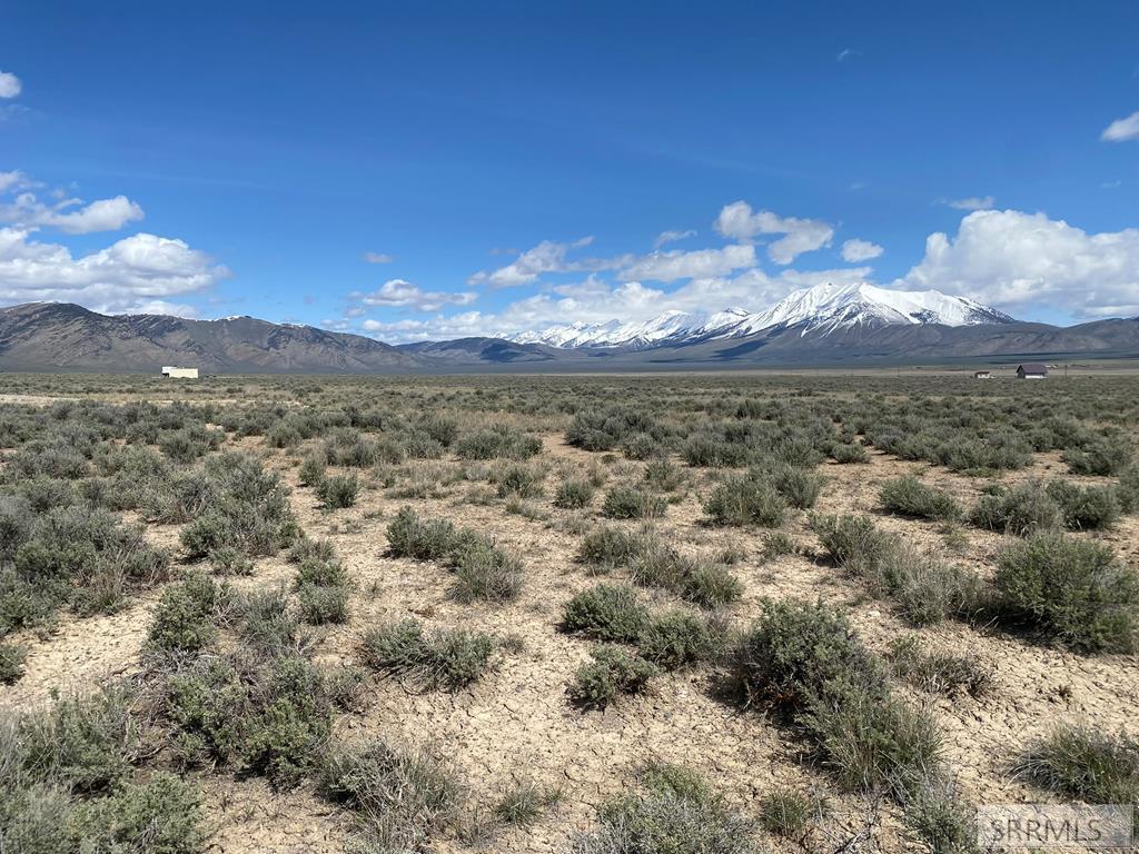 Tbd Mahogany Mackay, ID 83251 - Photo 14 of 14