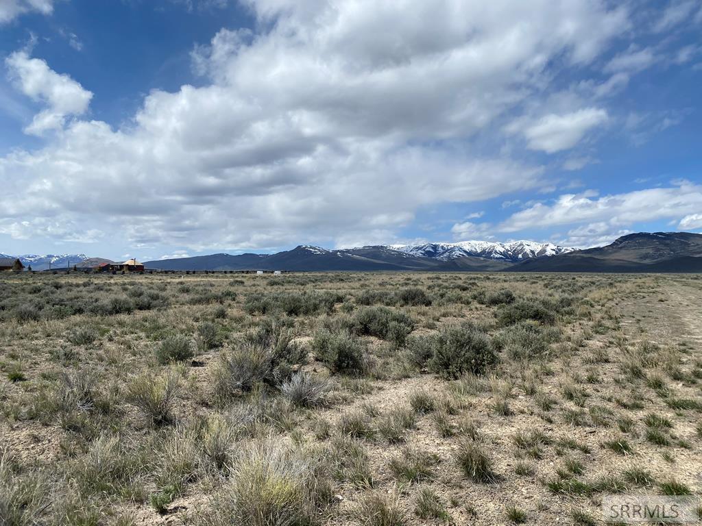 Tbd Mahogany Mackay, ID 83251 - Photo 8 of 14