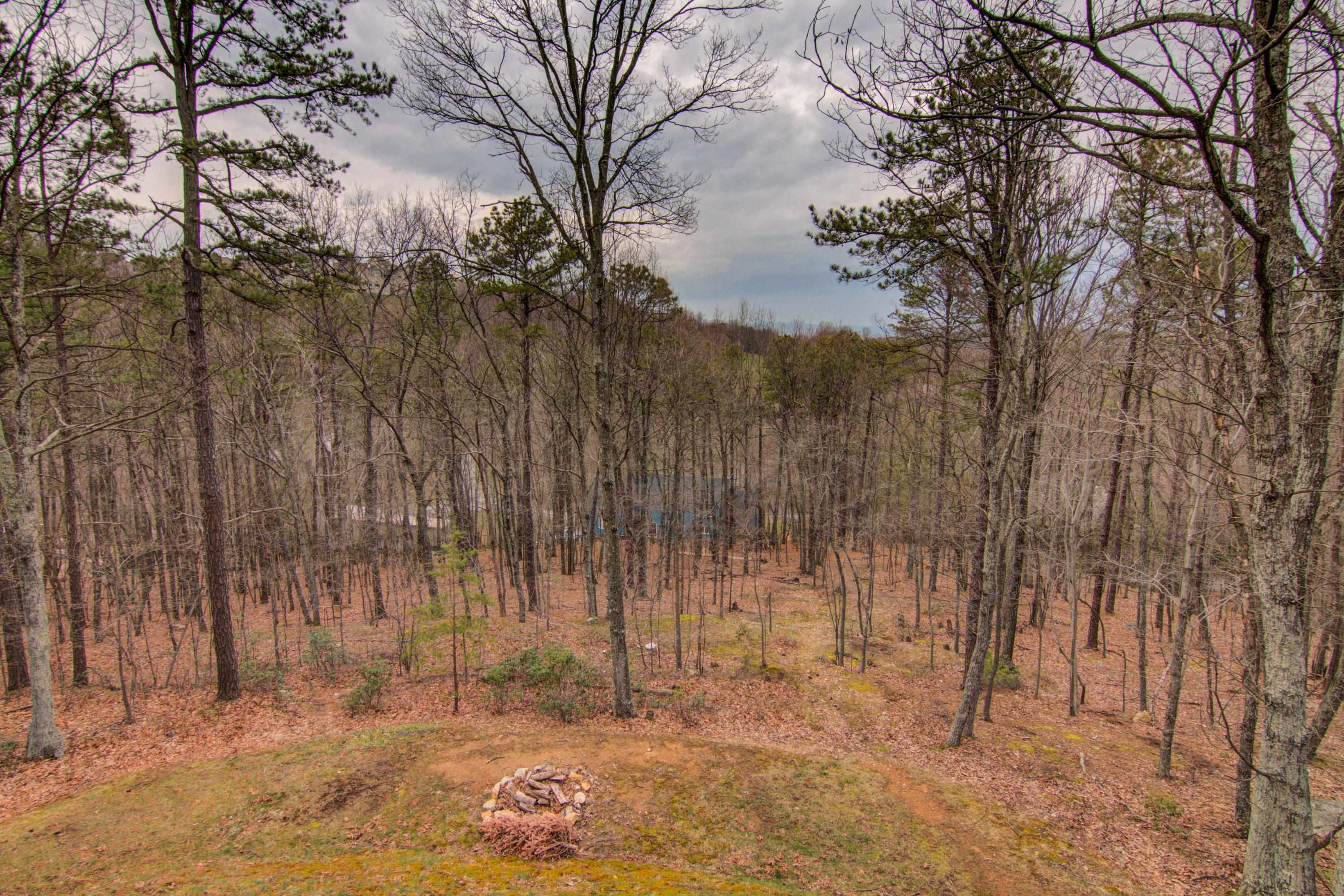 5031 Upland Game Road Roanoke, VA 24018 - Photo 22 of 39 Backyard