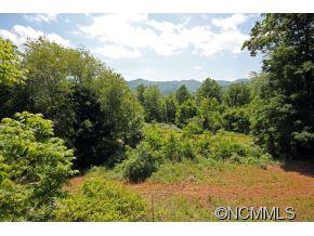 1745 Dutch Cove Road Canton, NC 28716 - Photo 22 of 24 Gallery Image 22