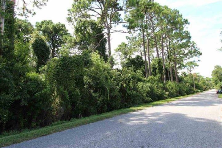 a view of a road with trees