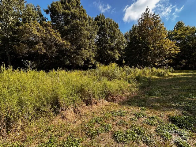 a view of a yard with a tree