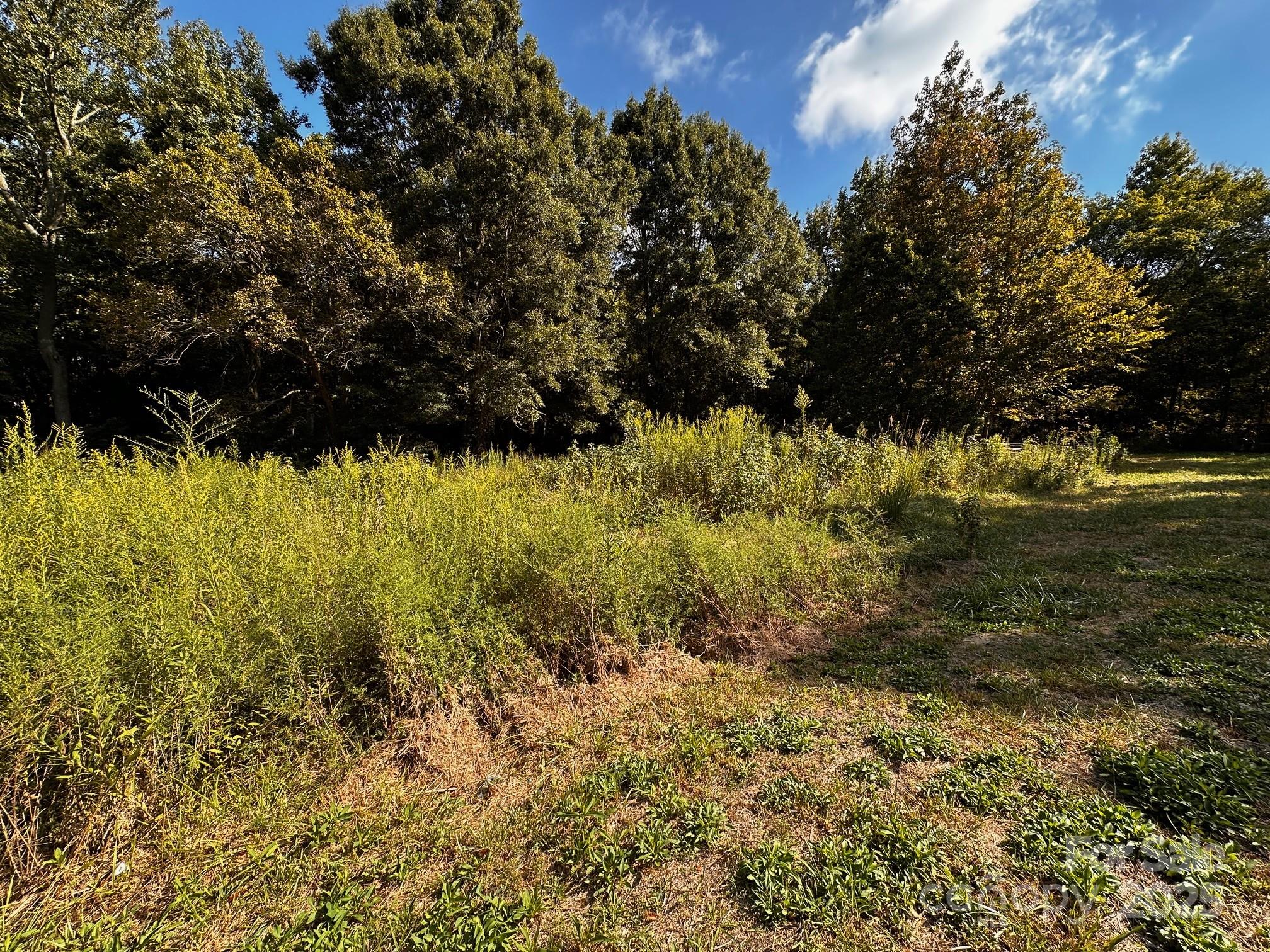 4010 Concord Highway Monroe, NC 28110 - Photo 5 of 10