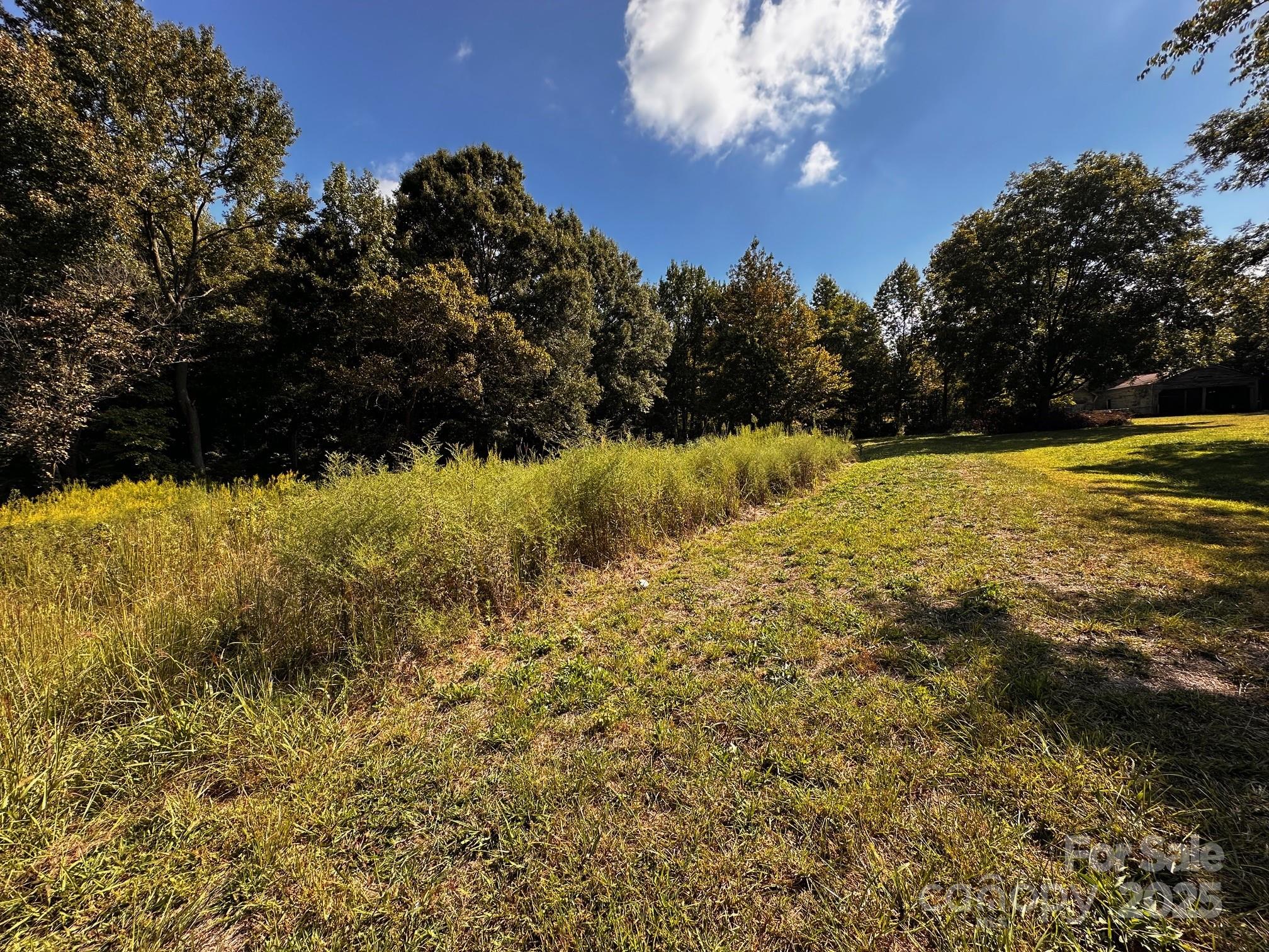 4010 Concord Highway Monroe, NC 28110 - Photo 6 of 10 a view of a yard with a tree