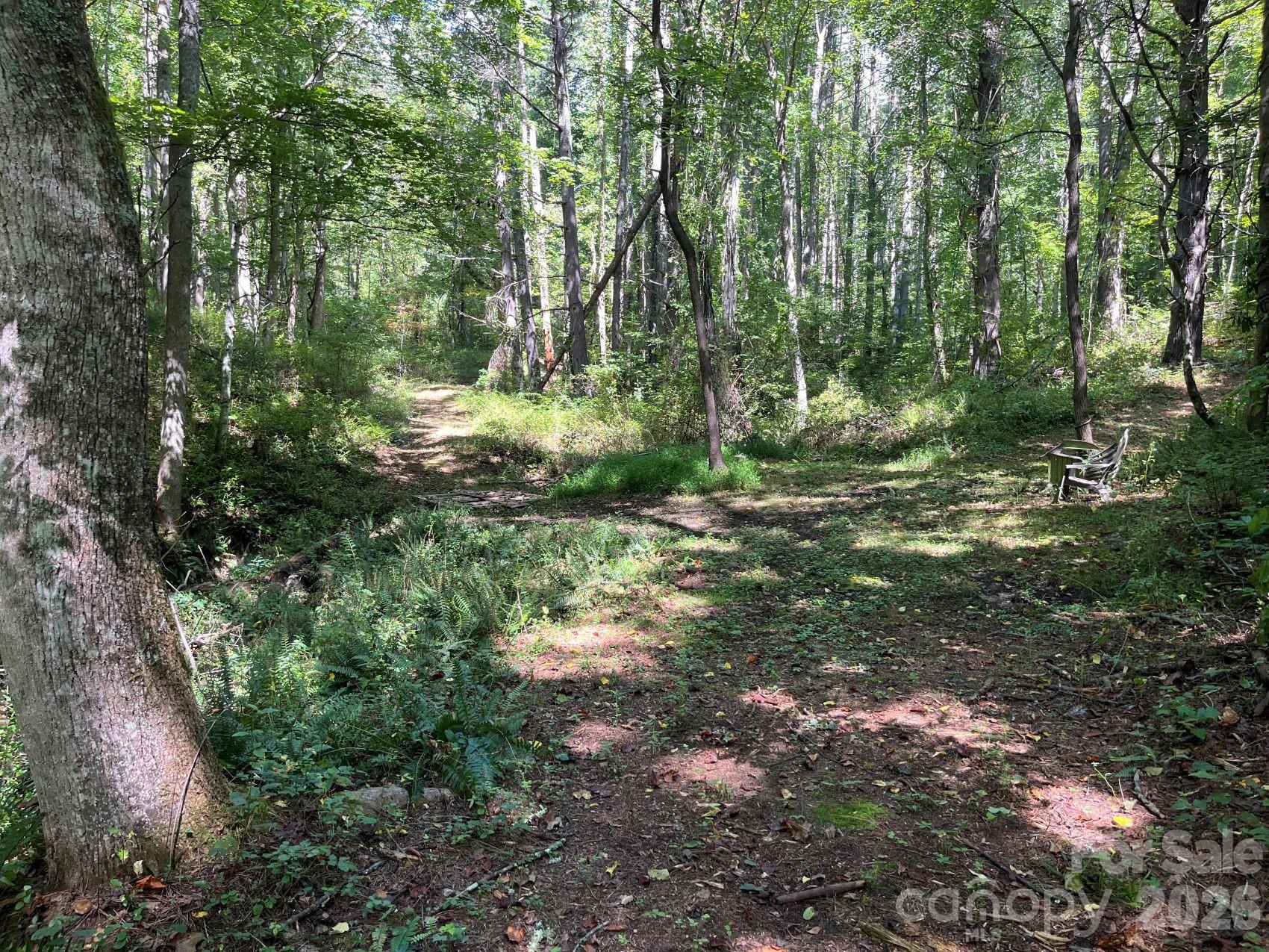 132 Hurd Road Canton, NC 28716 - Photo 38 of 43 Gallery Image 38
