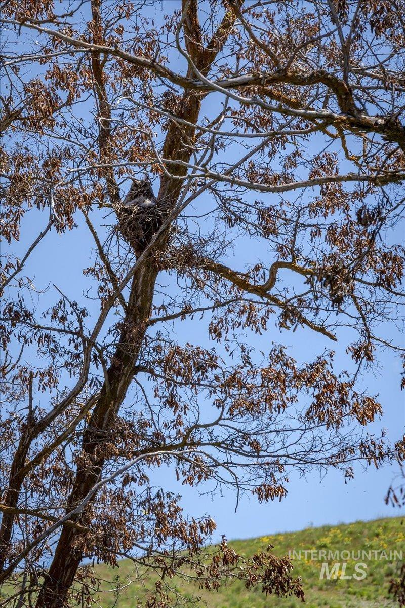 Tbd 277-ac Tbd 277-ac Timber Butte Road Sweet, ID 83670 - Photo 11 of 47