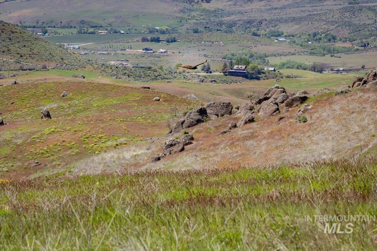 Tbd 277-ac Tbd 277-ac Timber Butte Road Sweet, ID 83670 - Photo 24 of 47