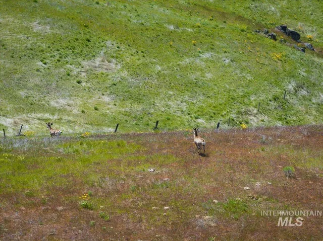 $1,700,000 | Tbd 277-ac Tbd 277-ac Timber Butte Road, Sweet, ID 83670