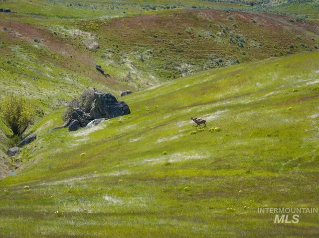 $1,700,000 | Tbd 277-ac Tbd 277-ac Timber Butte Road, Sweet, ID 83670