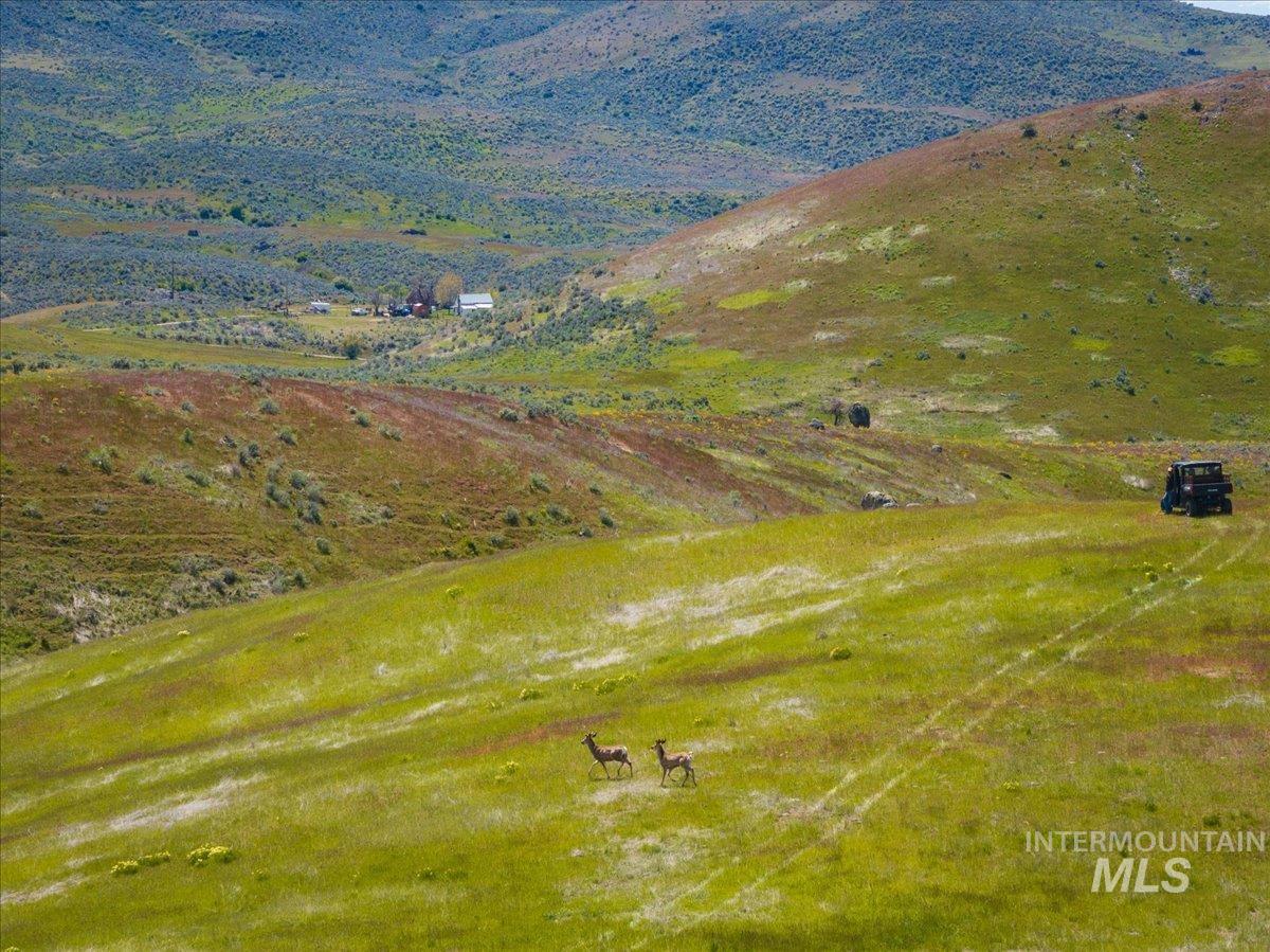 Tbd 277-ac Tbd 277-ac Timber Butte Road Sweet, ID 83670 - Photo 4 of 47