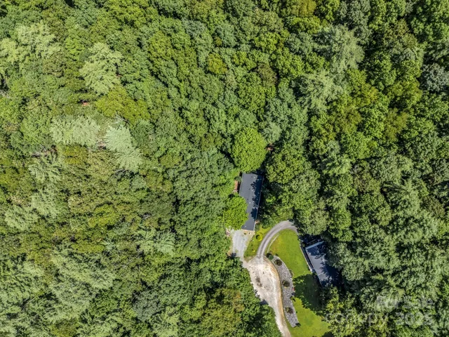 a view of a green field with lots of bushes