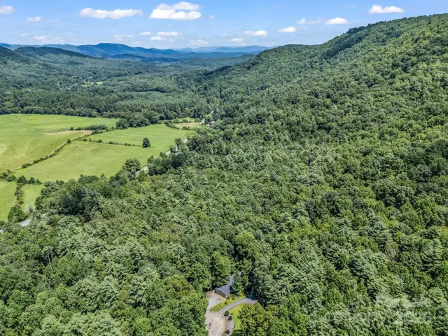 a view of a lush green hillside and a houses