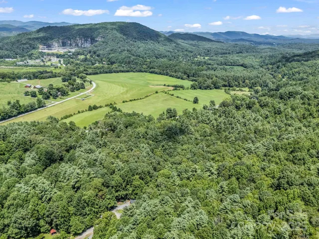 a view of a lush green hillside and houses