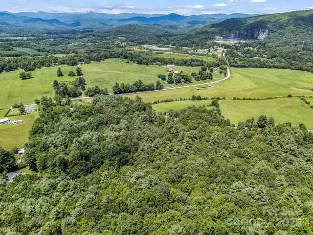a view of a lush green forest with trees and houses