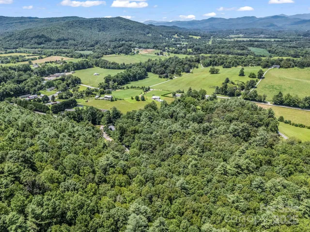 a view of a lush green forest with trees and some houses
