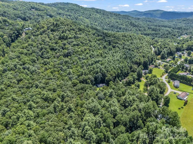 a view of a green field with lots of bushes
