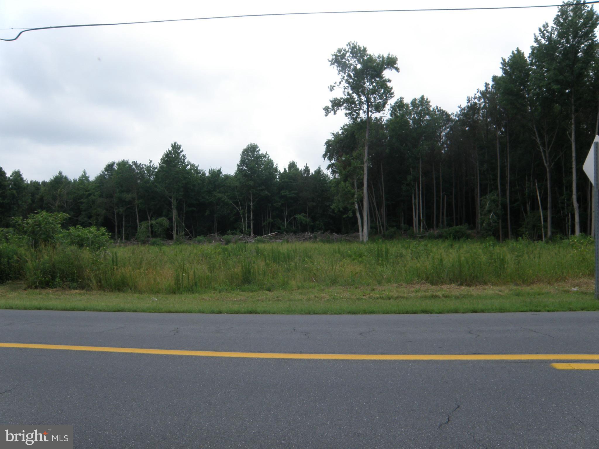 12540 North Union Church Road Ellendale, DE 19941 - Photo 2 of 3 Front of lot from N. Union Church Rd