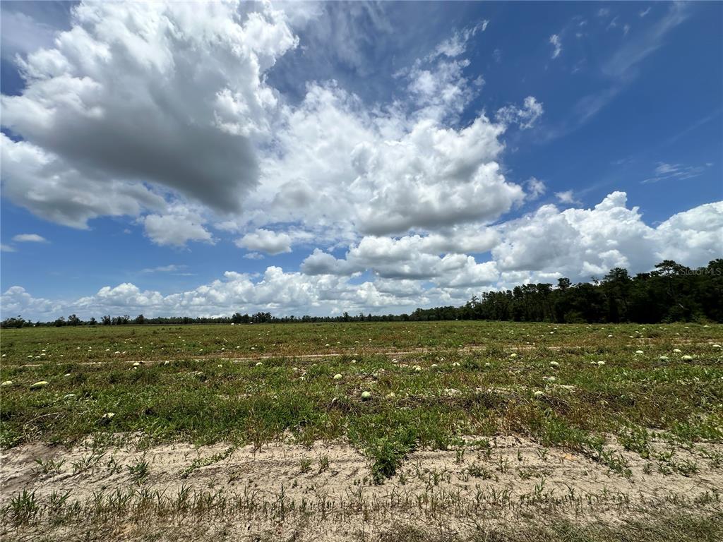 Tbd Northeast 69th Place Bronson, FL 32621 - Photo 5 of 12