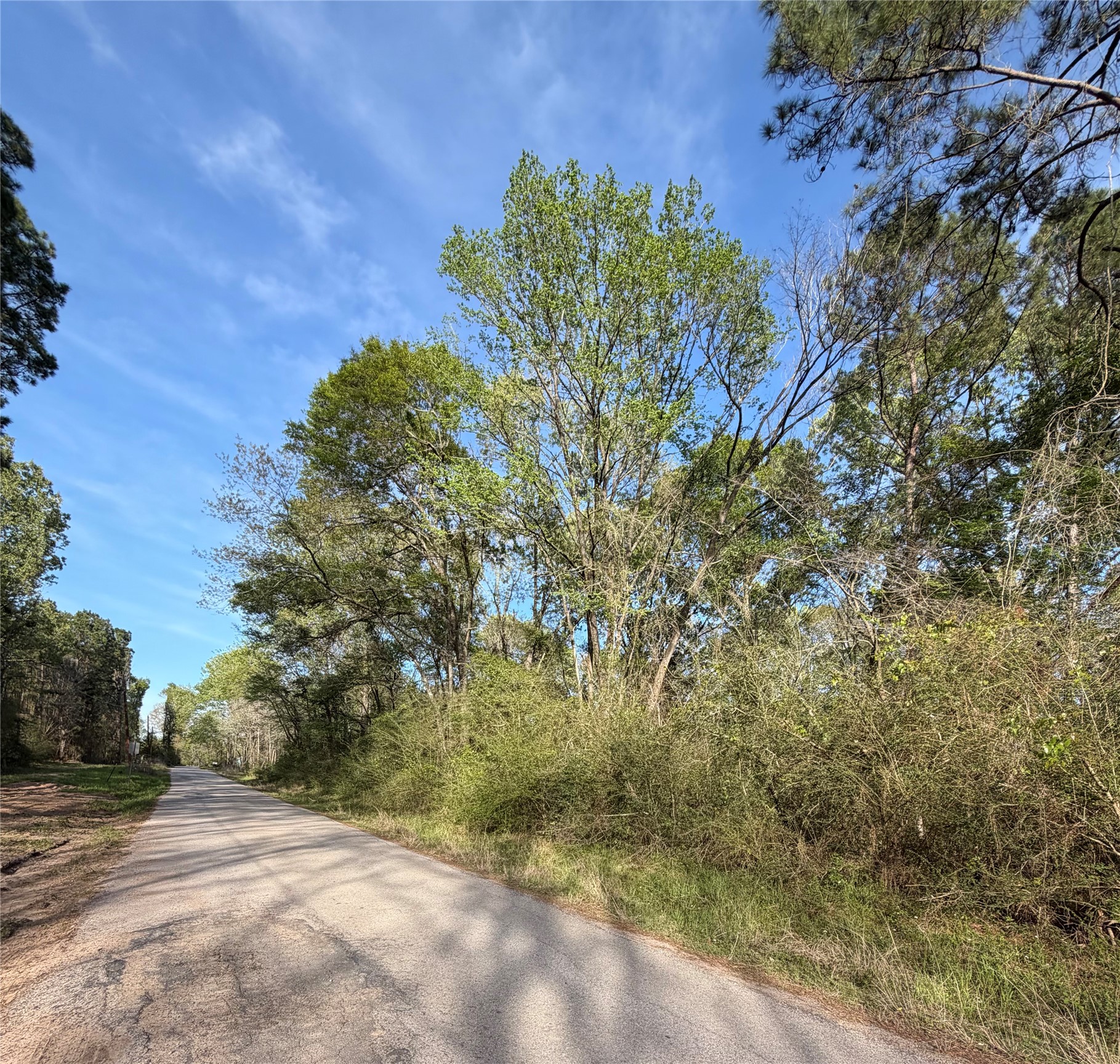 Tbd Jackson Road Coldspring, TX 77331 - Photo 1 of 8