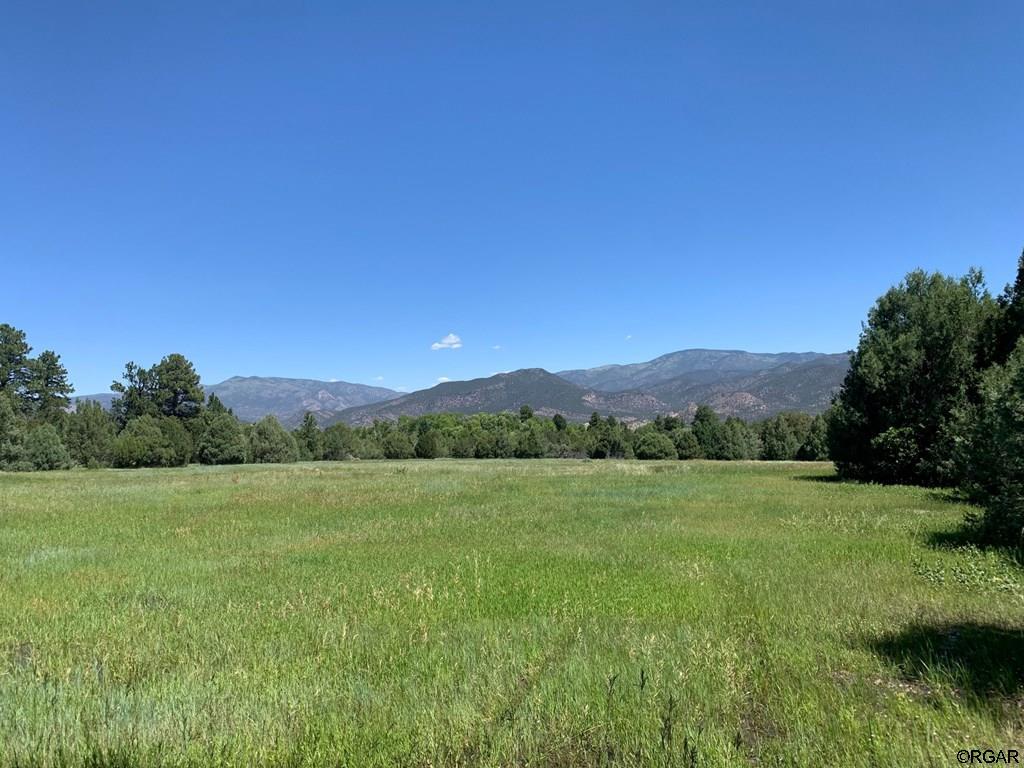 46 County Road Howard, CO 81233 - Photo 5 of 18 Gallery Image 5