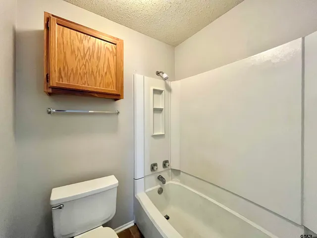 a bathroom with a toilet and a bathtub