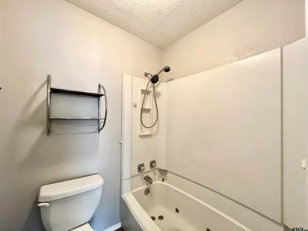 a bathroom with a toilet and a bathtub