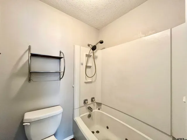 a bathroom with a toilet and a bathtub