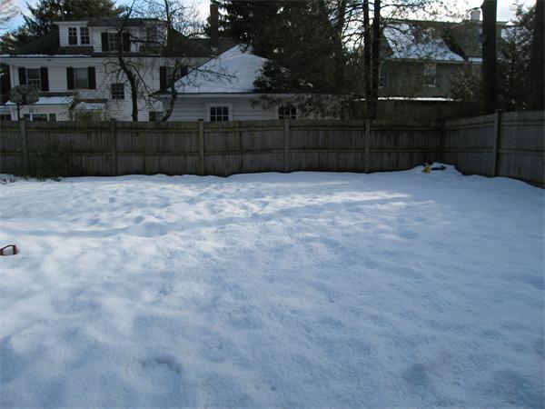 33 Roslyn Road Newton, MA 02468 - Photo 27 of 28
