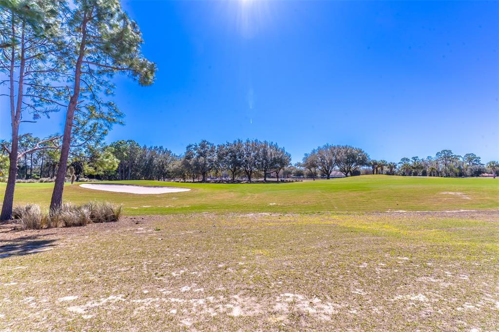 8822 Southwest 82nd Court Road Ocala, FL 34481 - Photo 11 of 49