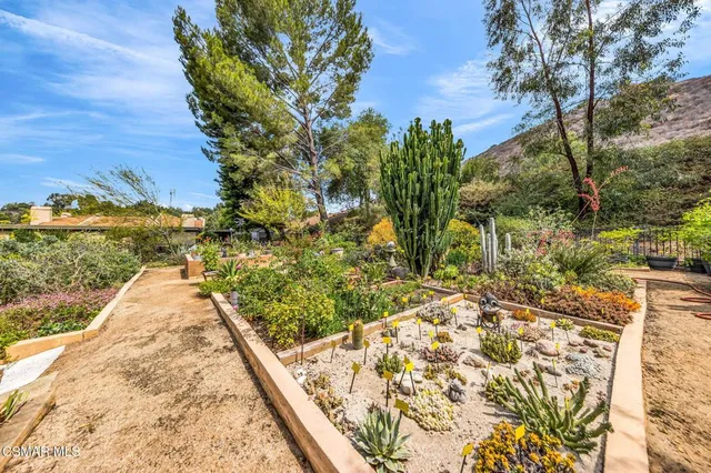 a view of a yard with plants and large trees