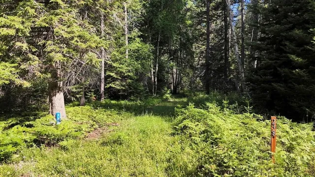 $75,000 | 238 Rustic Road, Cusick, WA 99119