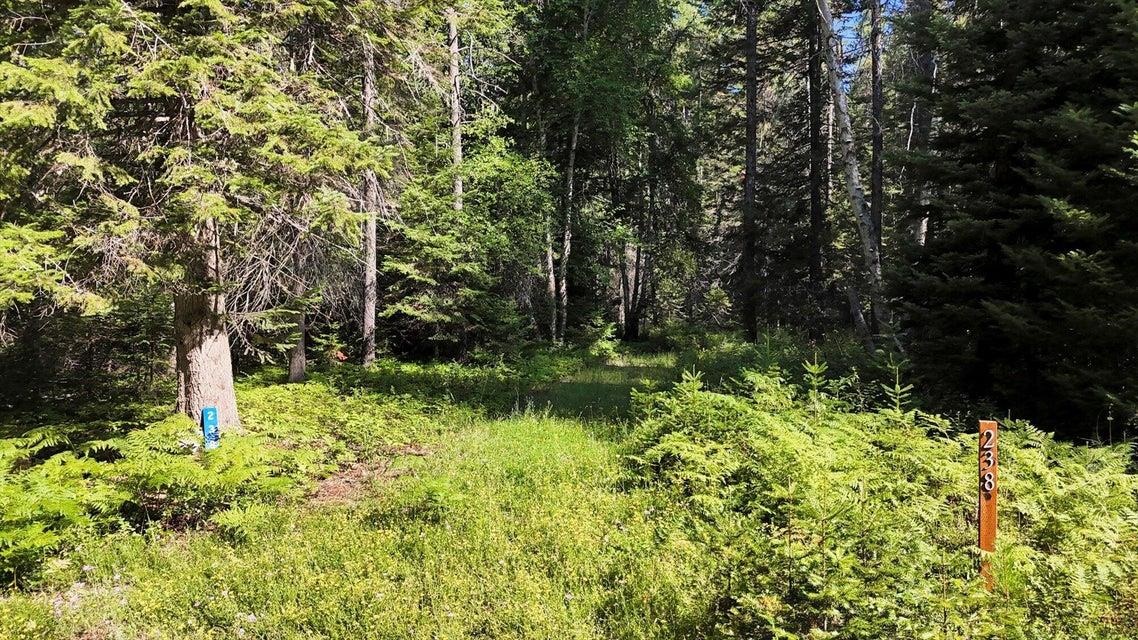 238 Rustic Road Cusick, WA 99119 - Photo 5 of 13