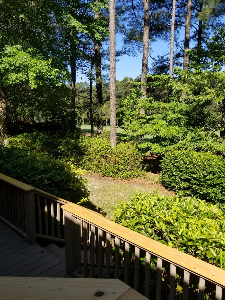 232 Forest Pines Road Aiken, SC 29803 - Photo 31 of 32 Gallery Image 31